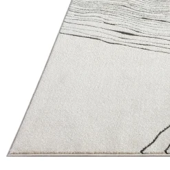 Tapis d’intérieur - 5 x 8