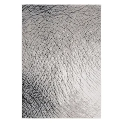 Tapis d’intérieur - 5x8