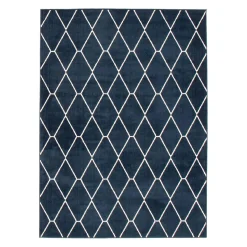 Tapis intérieur - 7 x 10