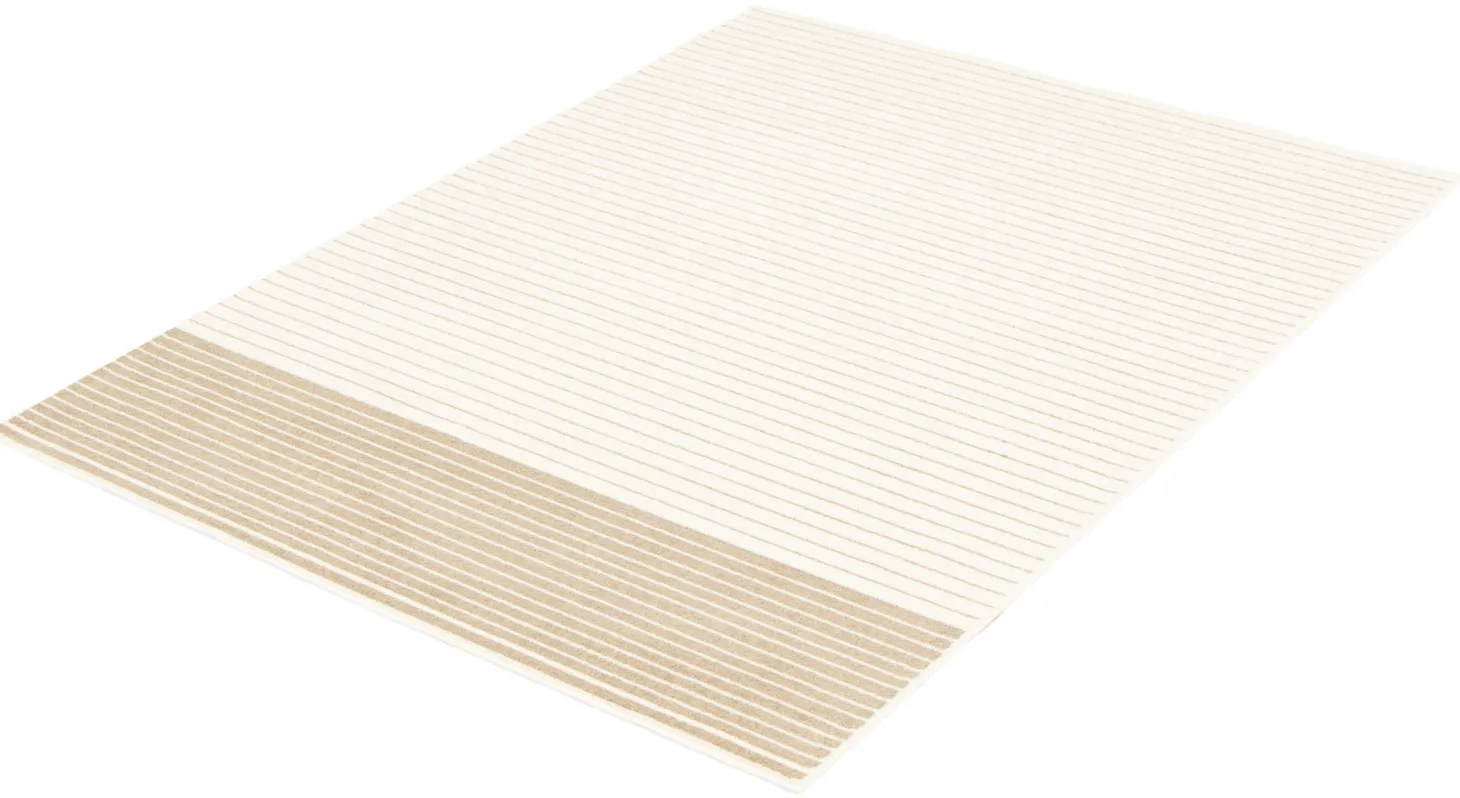 Tapis intérieur - 5 x 7