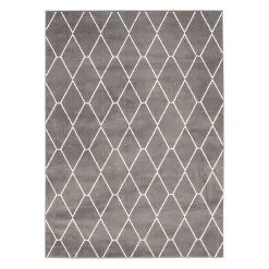 Tapis intérieur - 5 x 7