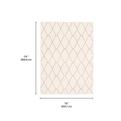 Tapis intérieur - 7 x 10