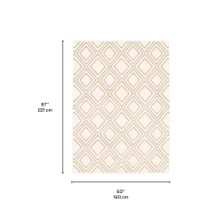 Tapis intérieur - 5 x 7