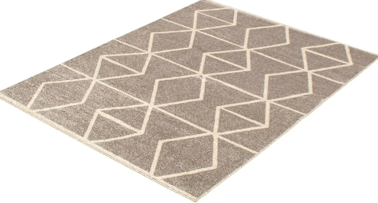 Tapis intérieur - 8 x 10