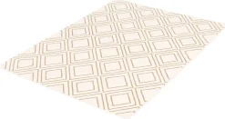 Tapis intérieur - 8 x 10