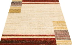 Tapis intérieur - 5 x 7