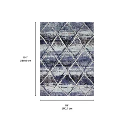 Tapis intérieur - 7 x 10