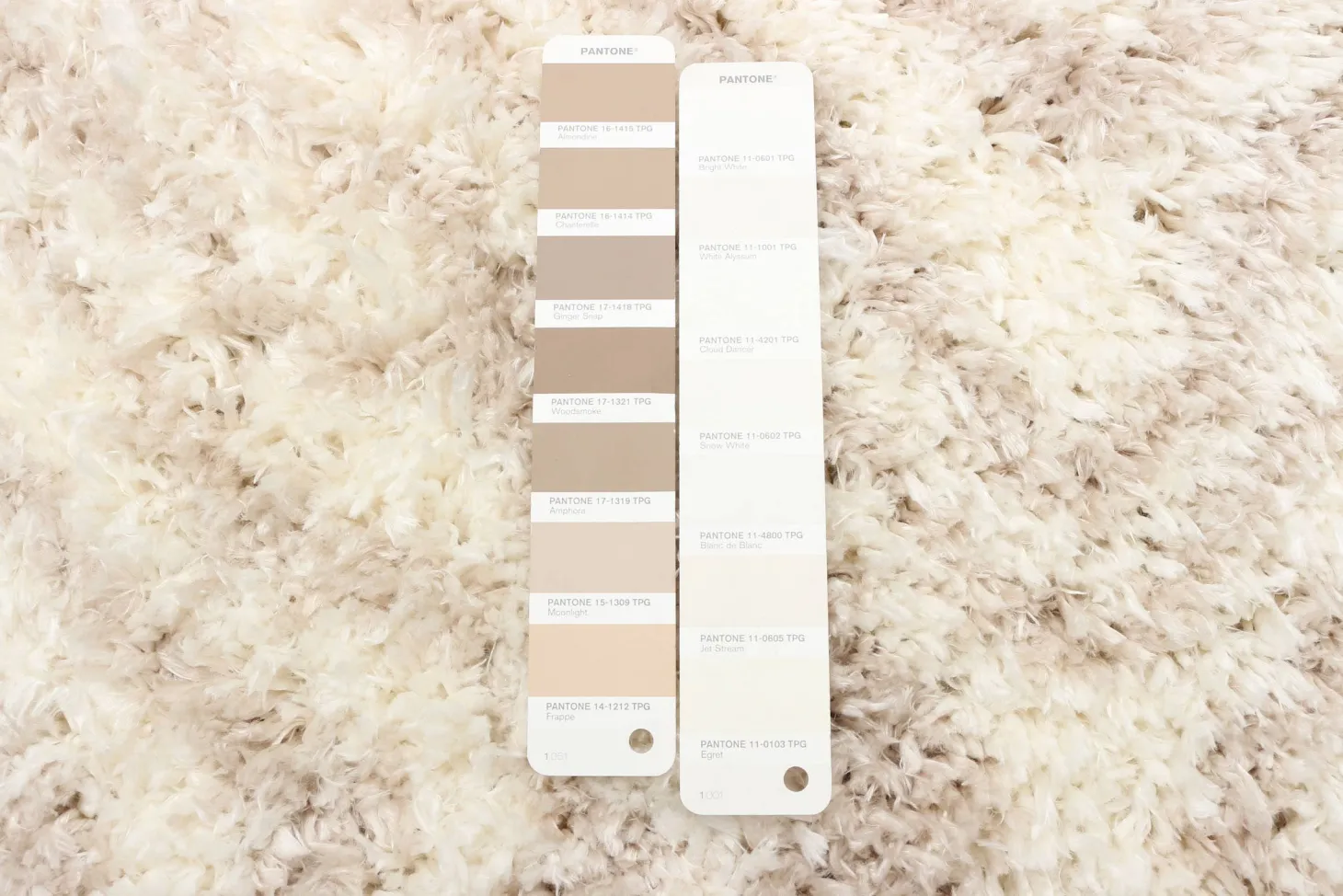 Tapis intérieur à poils longs - 7 x 10
