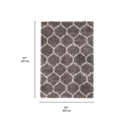 Tapis intérieur à poils longs - 5 x 7