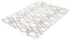 Tapis intérieur à poils longs - 8 x 10