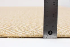 Tapis intérieur ou extérieur - 7 x 10