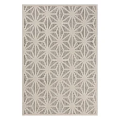 Tapis intérieur ou extérieur -5 x 8