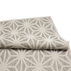 Tapis intérieur ou extérieur -5 x 8